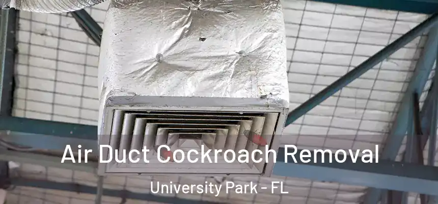  Air Duct Cockroach Removal University Park - FL