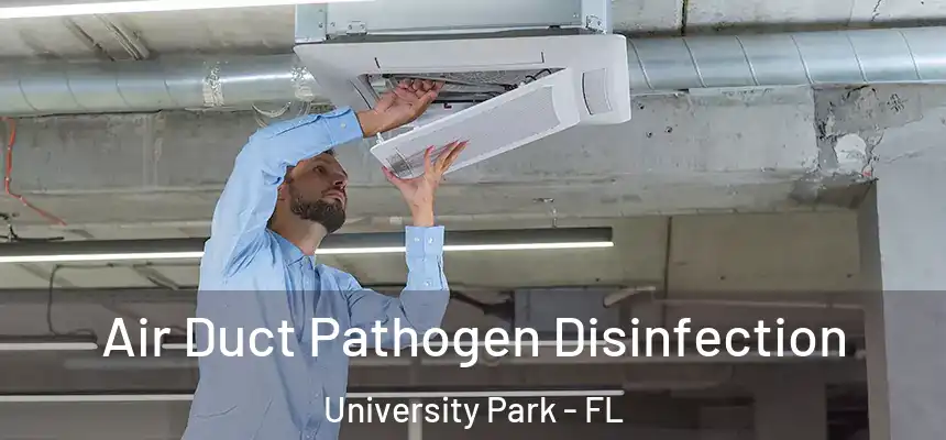  Air Duct Pathogen Disinfection University Park - FL