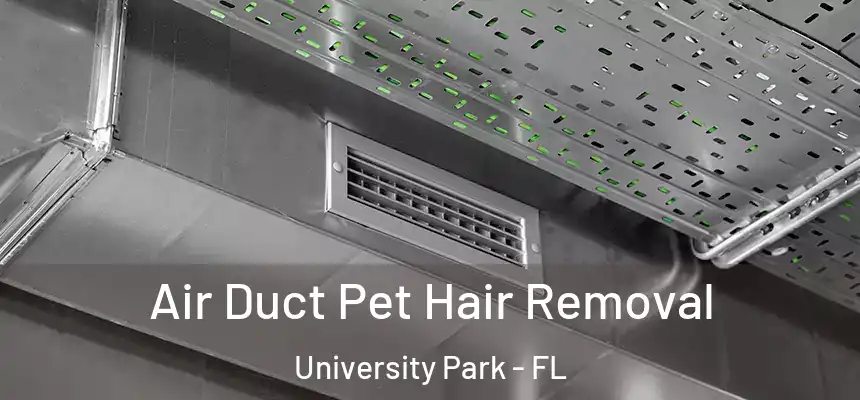 Air Duct Pet Hair Removal University Park - FL
