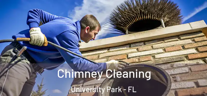  Chimney Cleaning University Park - FL
