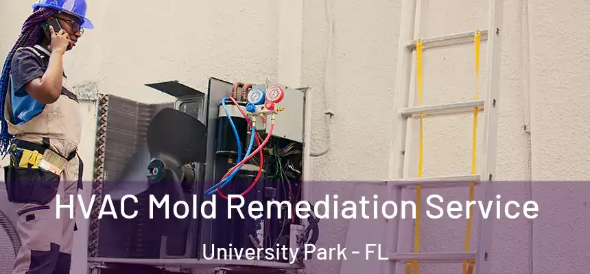 HVAC Mold Remediation Service University Park - FL