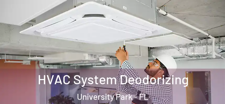  HVAC System Deodorizing University Park - FL
