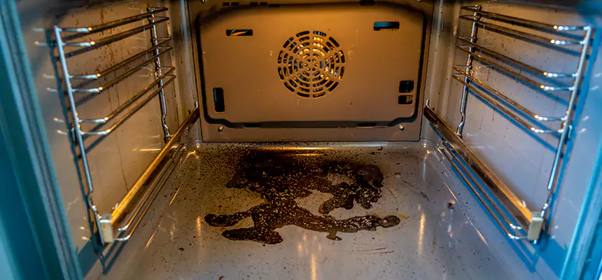 Our Dryer Vent Mold Cleaning Services in University Park, FL