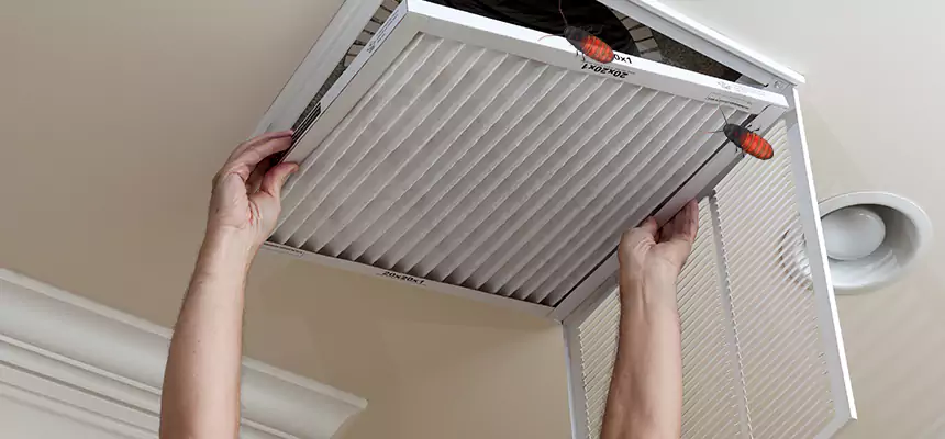 Our Insect Removal from Air Ducts Services in University Park, FL
