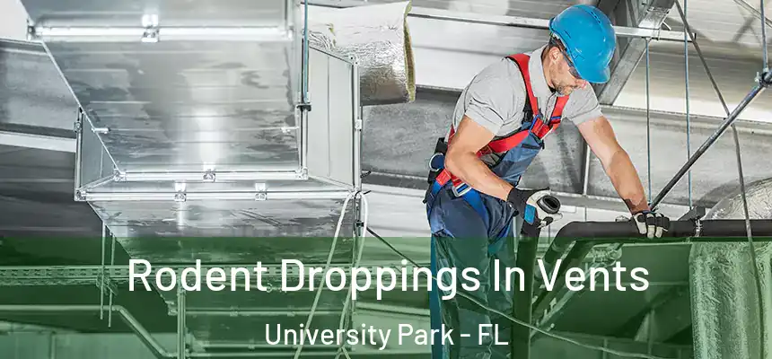  Rodent Droppings In Vents University Park - FL