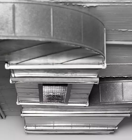 Professional Air Duct Pest Removal in University Park, FL