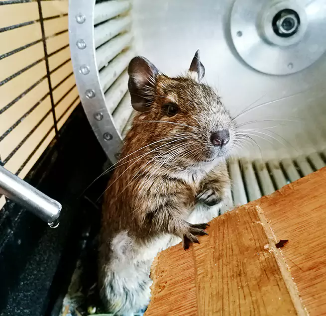 Why Homeowners & Businesses Trust Us University Park, FL?