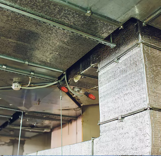 Why Homeowners & Businesses Trust Us University Park, FL?