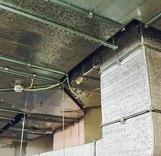 Why Homeowners & Businesses Trust Us in University Park, FL?